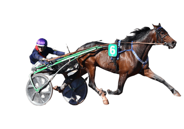 faille gagnante turf 2 sites pmu